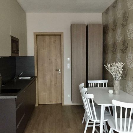 Zlaty Apartman Dolní Morava Εξωτερικό φωτογραφία