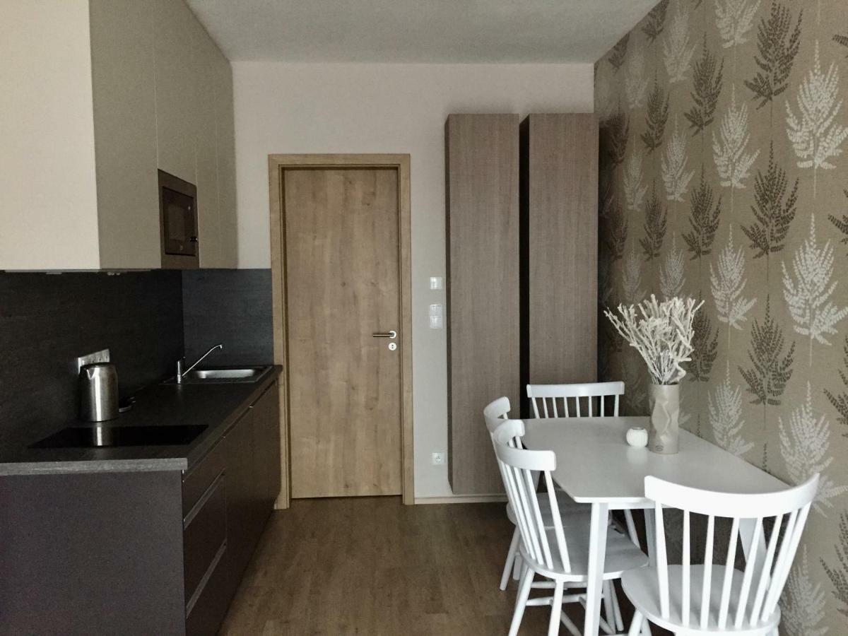 Zlaty Apartman Dolní Morava Εξωτερικό φωτογραφία